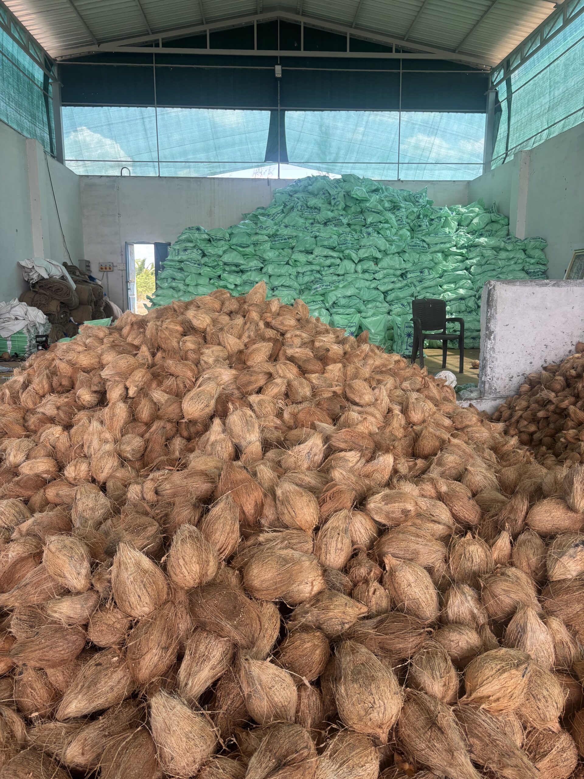 Fresh coconut Export