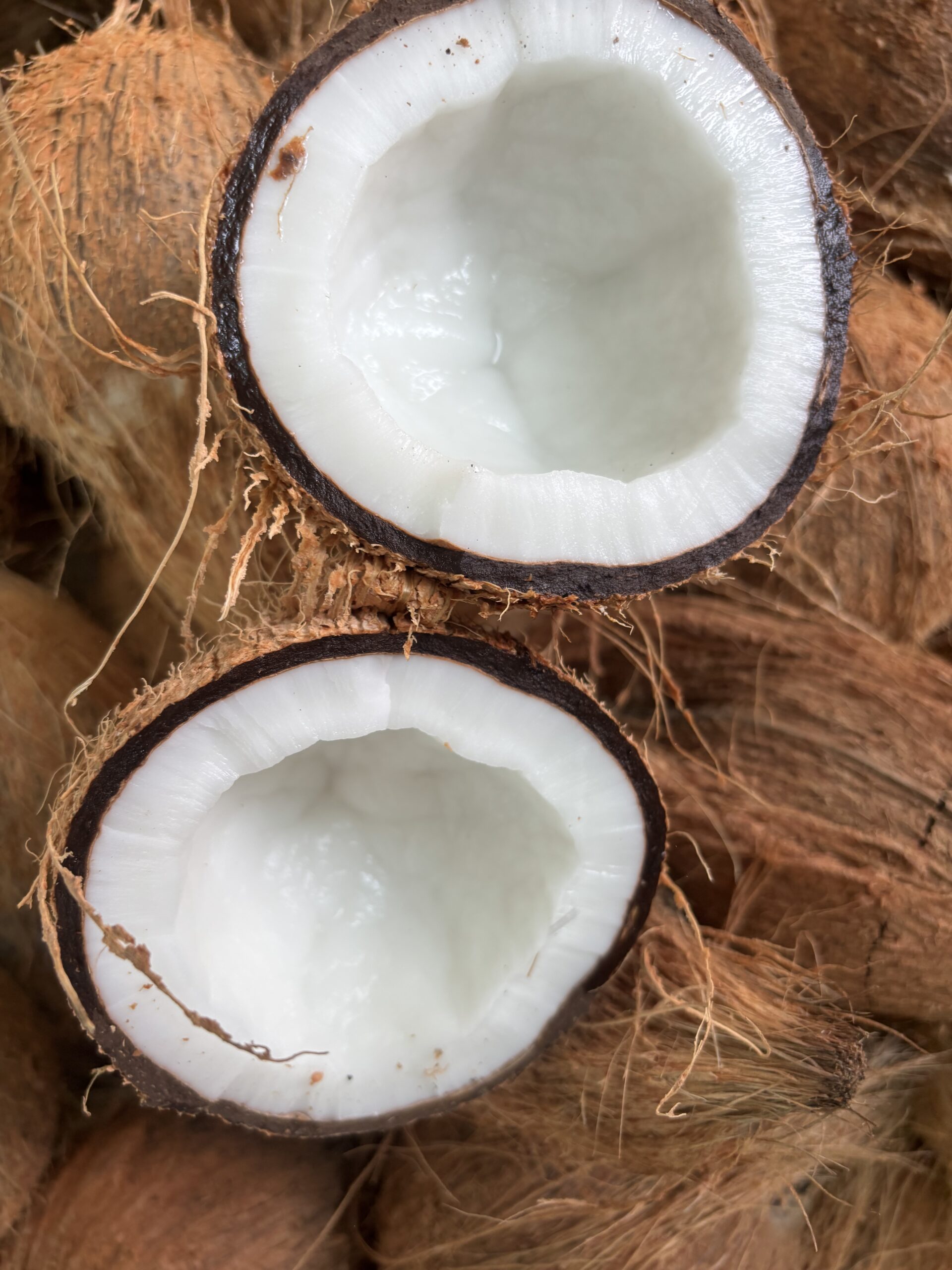 Fresh raw coconut