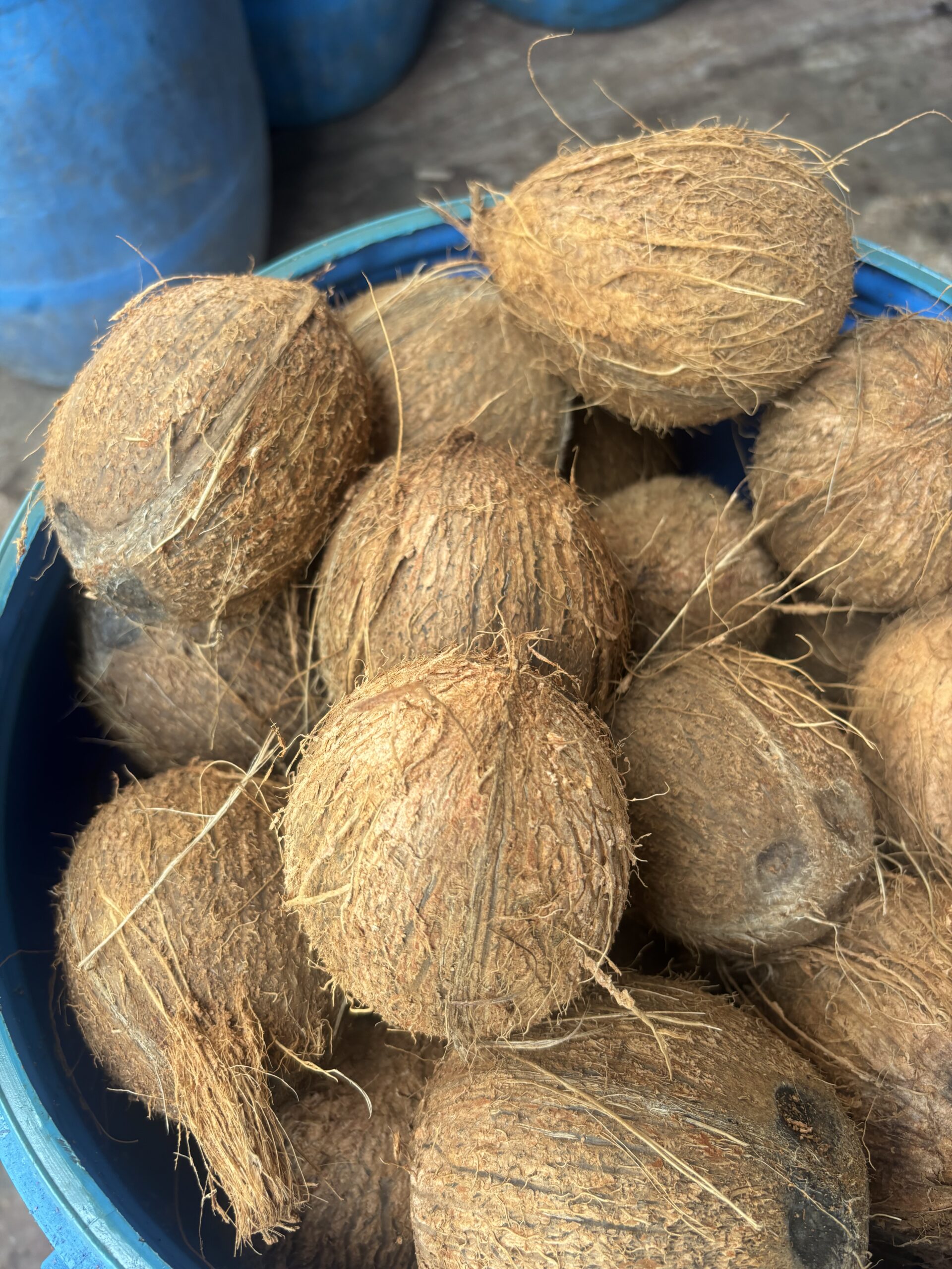 Raw coconut